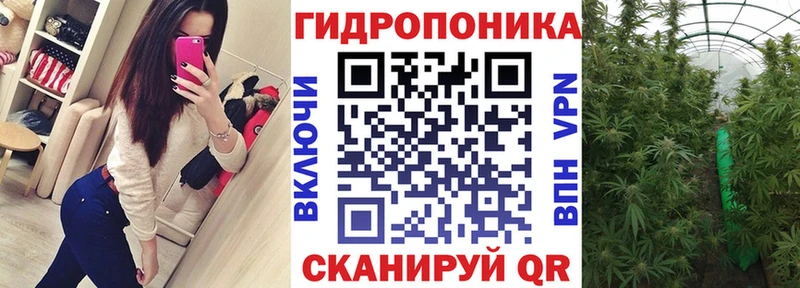 Как найти закладки Ступино Каннабис  Метамфетамин  ГАШИШ  A PVP  Меф мяу мяу  COCAIN 
