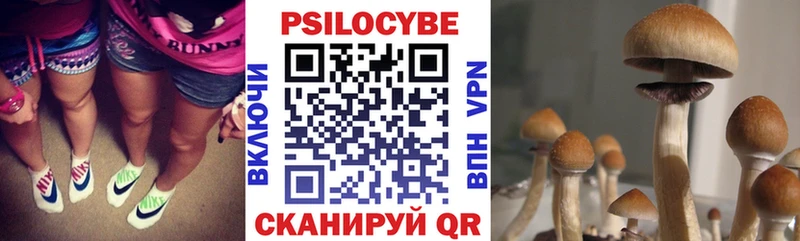 магазин  наркотиков  Ступино  Галлюциногенные грибы мицелий 